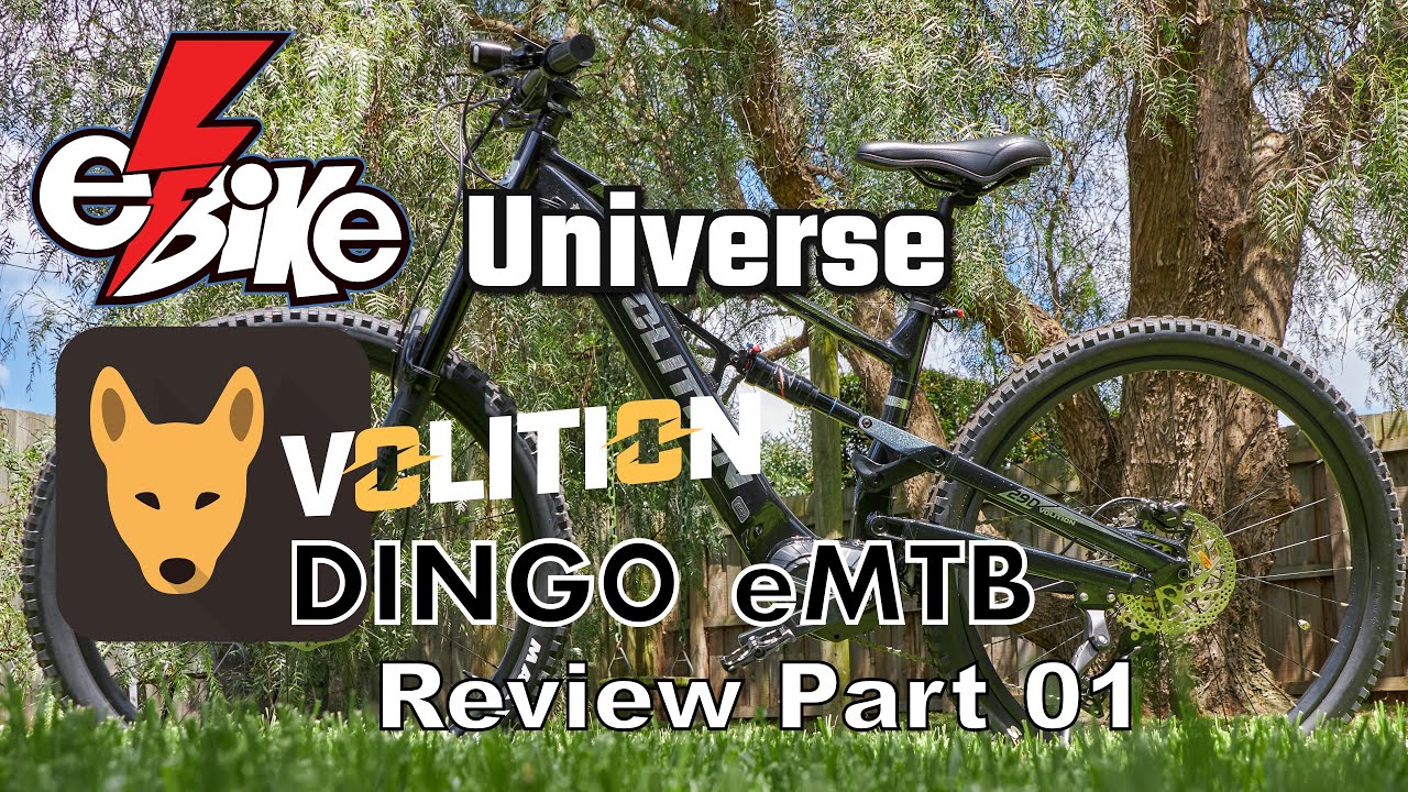 Volition Dingo eMTB Review Part 01