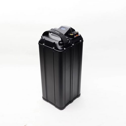 60V 2000Wh Panasonic Battery ( LIGHT BEE )