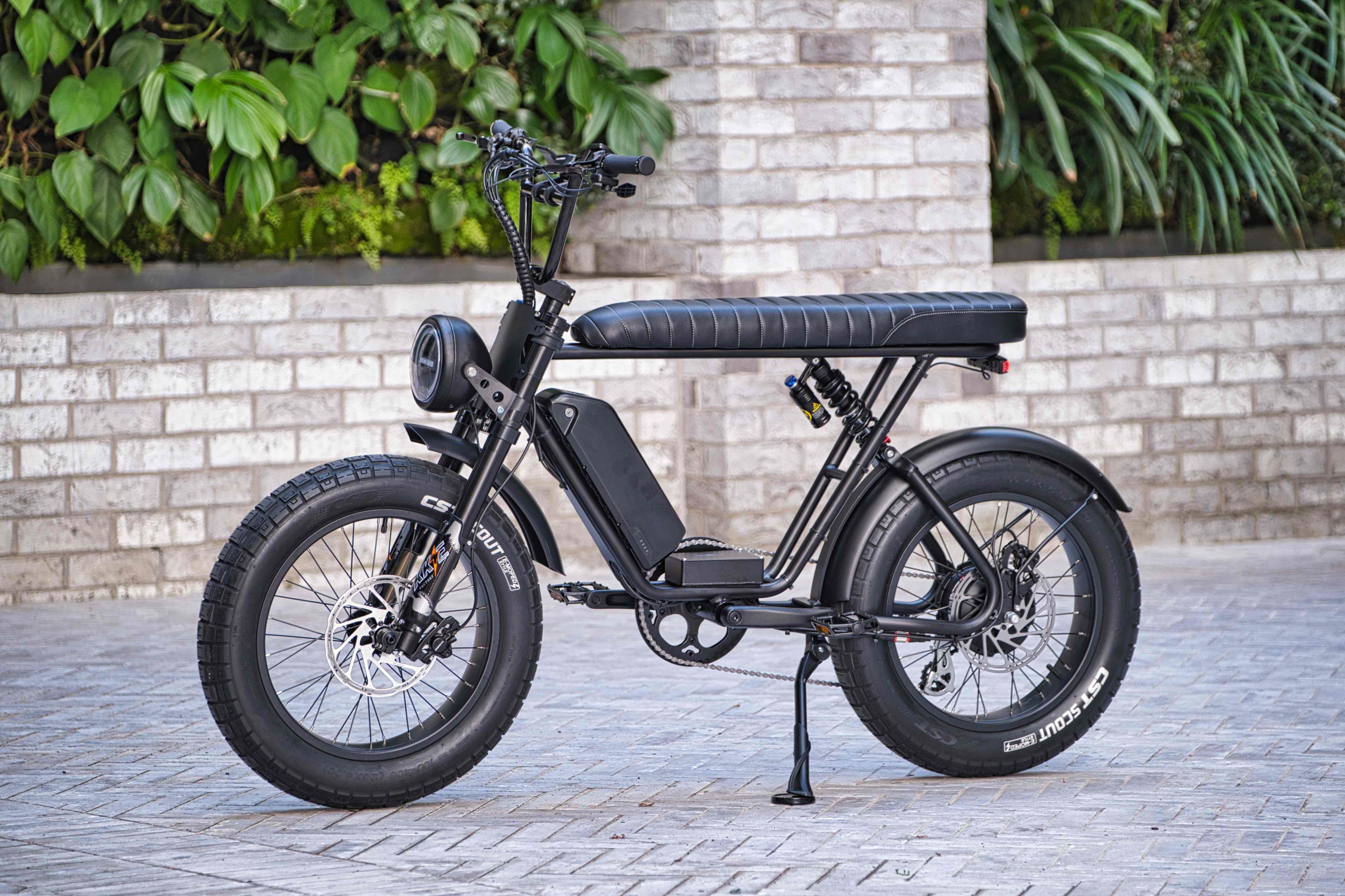 KOALA Pro Deluxe - Volition